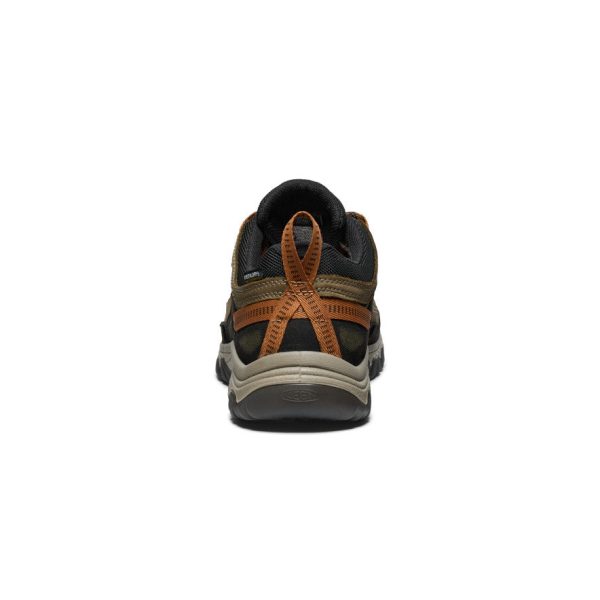 Men's Targhee IV Wide Waterproof Hiking Shoe | Sea Turtle/Roasted Pecan