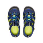 Big Kids' Seacamp II CNX | Naval Academy/Chartreuse