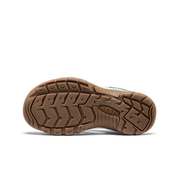 Women's Newport H2 | Gradient Mediterranea