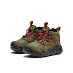 Little Kids' Hypowser Waterproof Chukka | Forest Night/Garnet