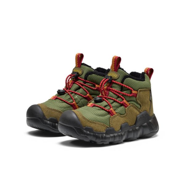 Little Kids' Hypowser Waterproof Chukka | Forest Night/Garnet