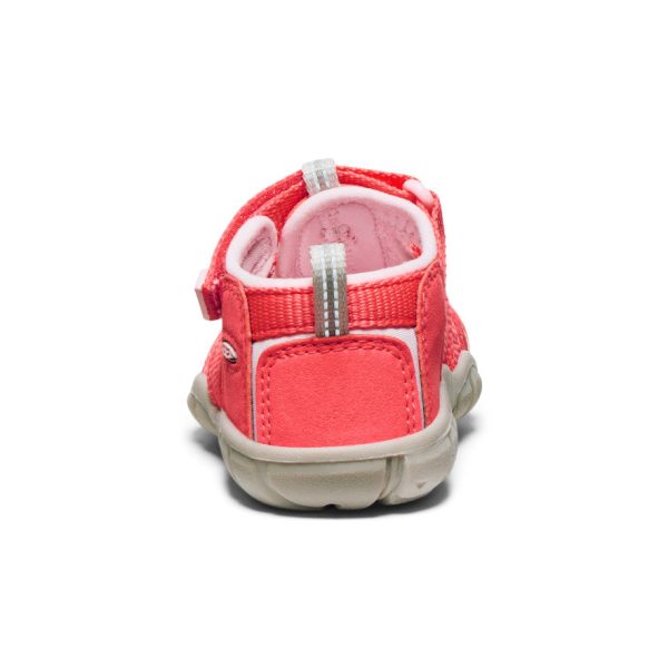 Toddlers' Seacamp II CNX | Dubarry/Giggle Pink