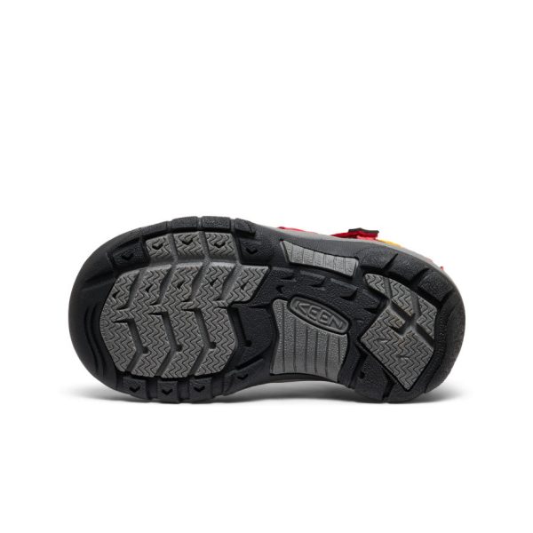 Little Kids' Newport H2 | Ribbon Red/Gargoyle