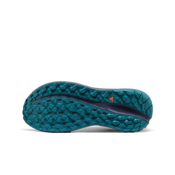 Men's Roam Trail Running Shoe | Alloy/Evening Primrose