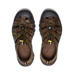 Men's Newport Leather Sandal Wide | Bison