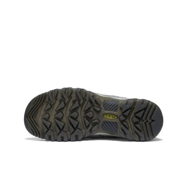Women's Targhee IV Vented Hiking Shoe | Alloy/Granite Green
