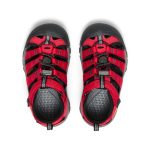 Little Kids' Newport H2 | Ribbon Red/Gargoyle