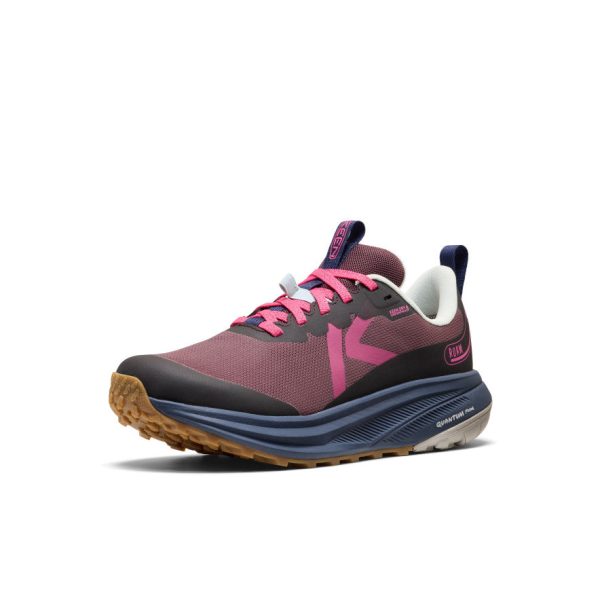 Women's Roam Waterproof Trail Running Shoe | Huckleberry/Ballad Blue
