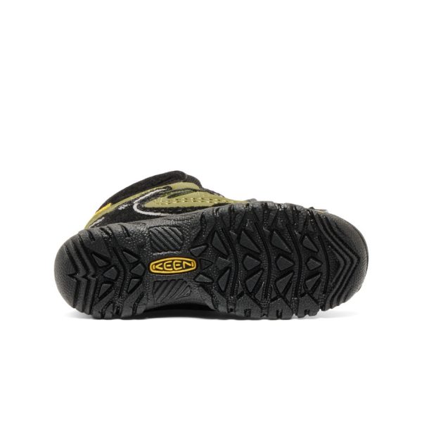 Targhee IV Hiker Keychain | Olive