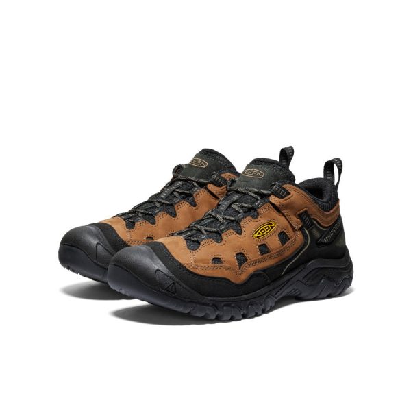 Men's Targhee IV Vented Hiking Shoe | Bison/Golden Yellow