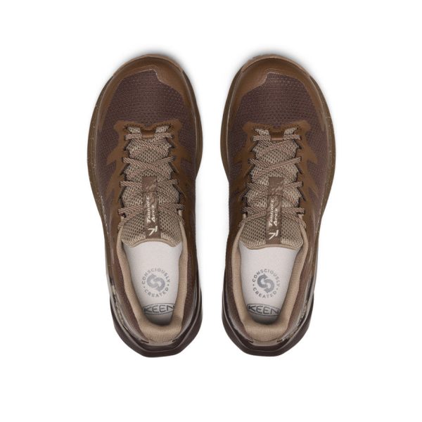 Men's Targhee Apex Waterproof Hiking Shoe | Java/Dark Earth