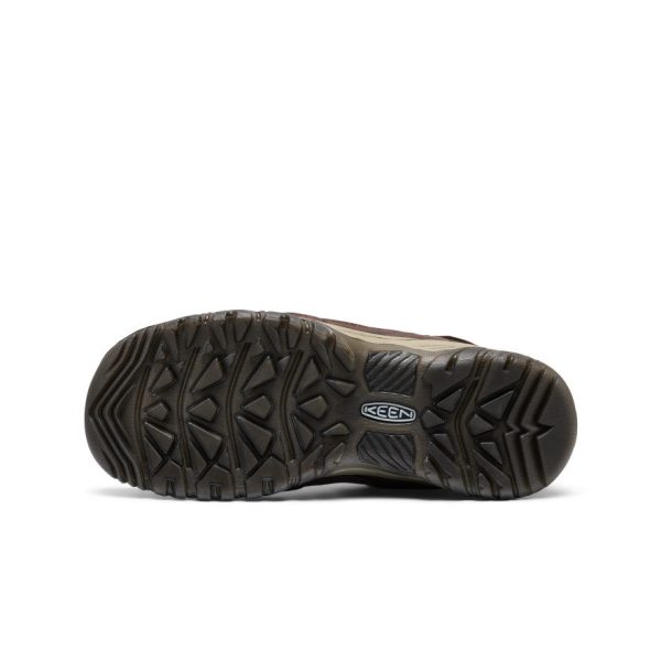 Men's Targhee IV Waterproof Hiking Shoe | Java/Bison